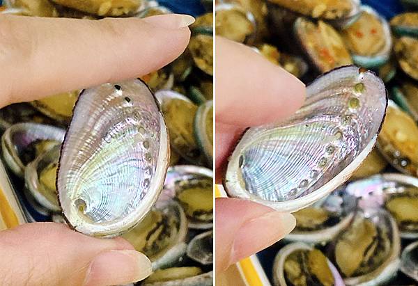 海揚鮮物-九孔鮑魚-宅配海鮮即開即食-22.JPG