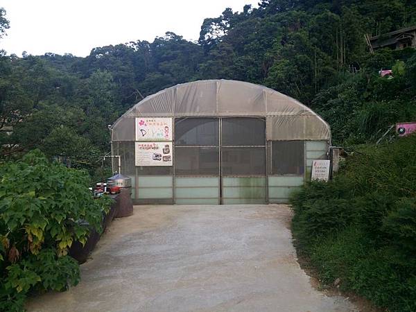 新北 八里 觀音山 桃樂絲森林(穀興農場) 親子餐廳