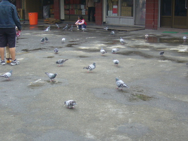 P1000701