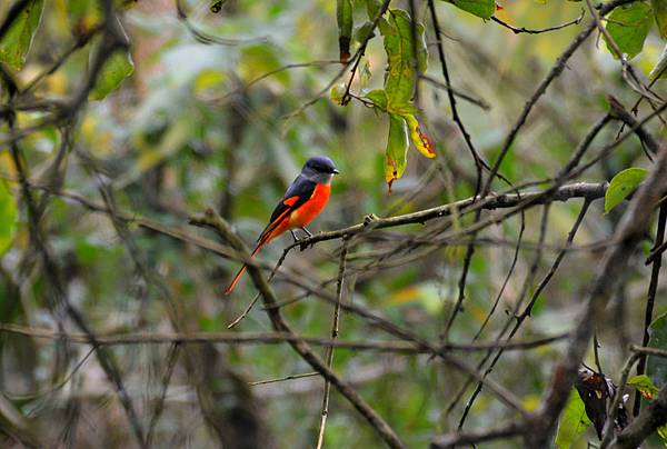 DSC_0418.jpg DSC_0418.jpg