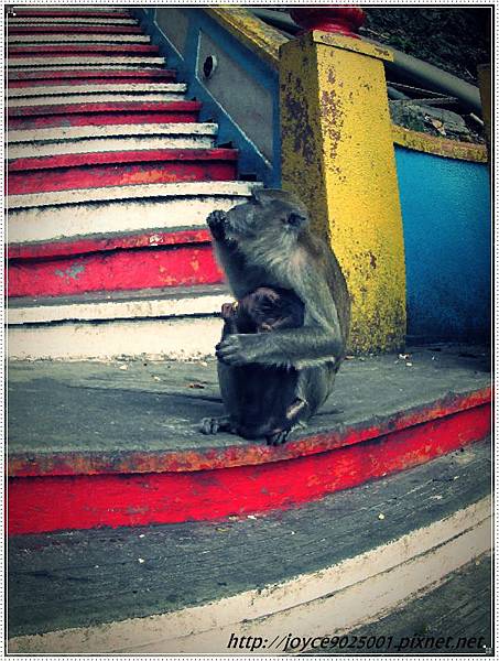 Batu Caves_05.JPG