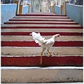 Batu Caves_08.JPG