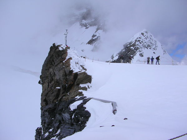 雪原