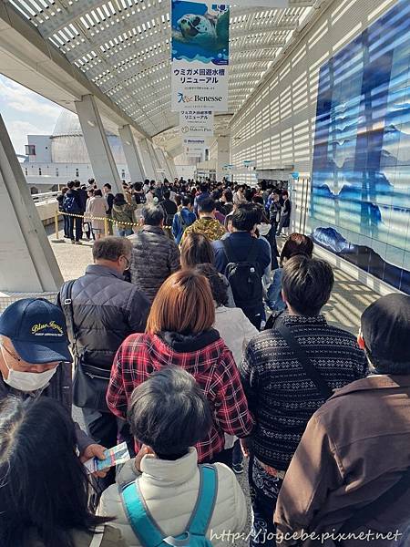 ▉2019北陸親子自駕▉Day2名古屋：名古屋港水族館/名古