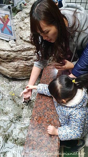 ▉2019北陸親子自駕▉Day2名古屋：名古屋港水族館/名古