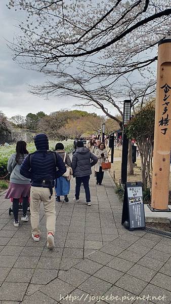 ▉2019北陸親子自駕▉Day2名古屋：名古屋港水族館/名古