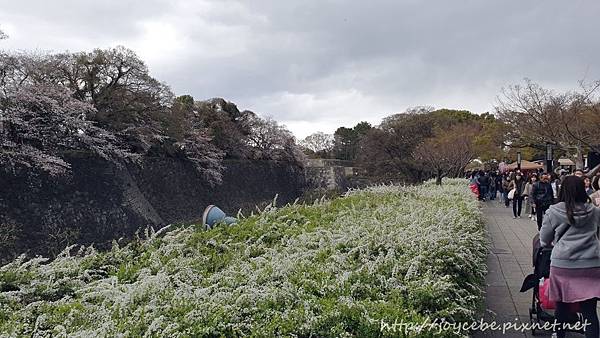 ▉2019北陸親子自駕▉Day2名古屋：名古屋港水族館/名古