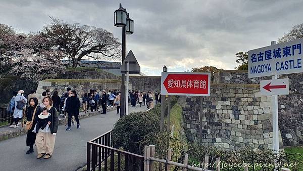 ▉2019北陸親子自駕▉Day2名古屋：名古屋港水族館/名古