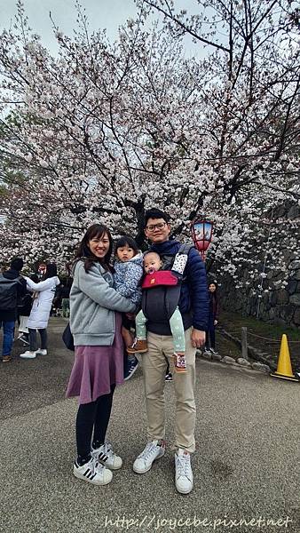 ▉2019北陸親子自駕▉Day2名古屋：名古屋港水族館/名古