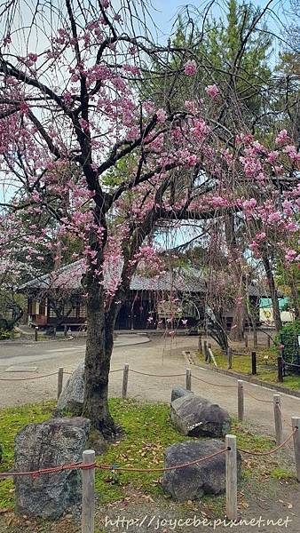 ▉2019北陸親子自駕▉Day2名古屋：名古屋港水族館/名古