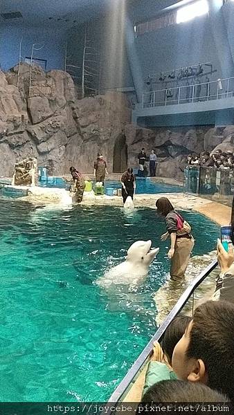 ▉2019北陸親子自駕▉Day2名古屋：名古屋港水族館/名古