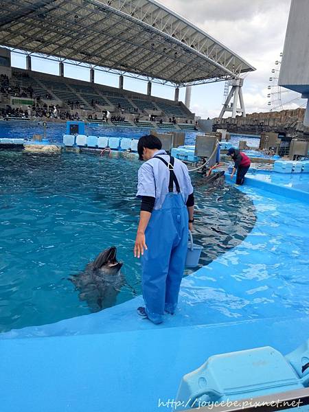 ▉2019北陸親子自駕▉Day2名古屋：名古屋港水族館/名古