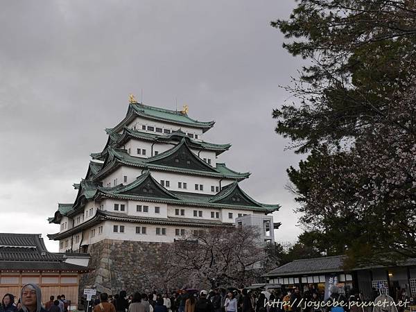 ▉2019北陸親子自駕▉Day2名古屋：名古屋港水族館/名古