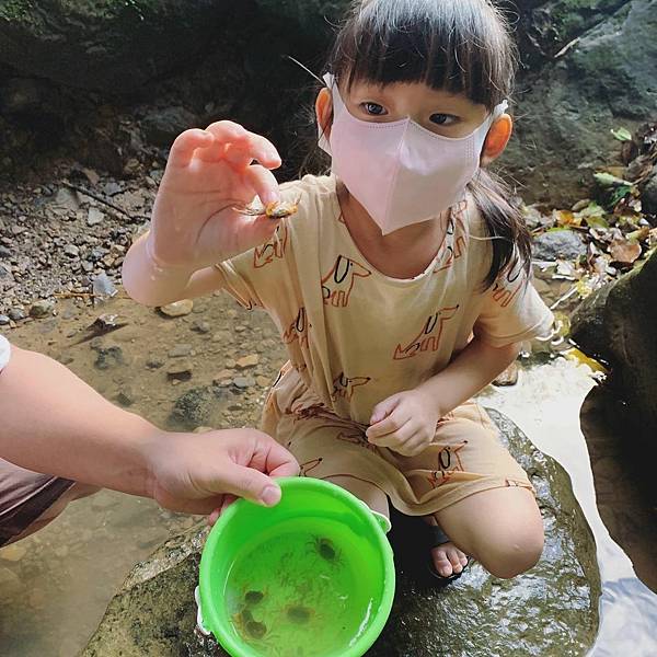 ▉新北▉ 天然免費玩水景點，茄苳瀑布抓螃蟹