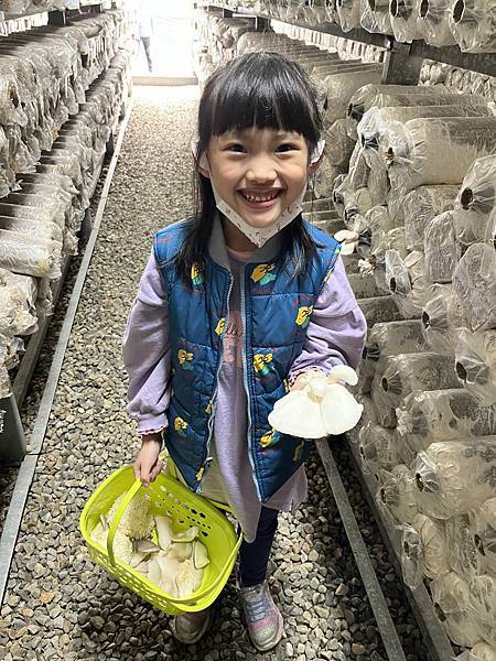 ▉桃園▉ 添丁養生黑木耳採菇去