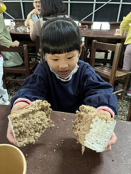 ▉桃園▉ 添丁養生黑木耳採菇去