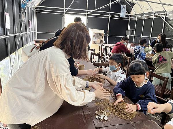 ▉桃園▉ 添丁養生黑木耳採菇去