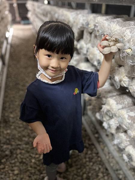 ▉桃園▉ 添丁養生黑木耳採菇去