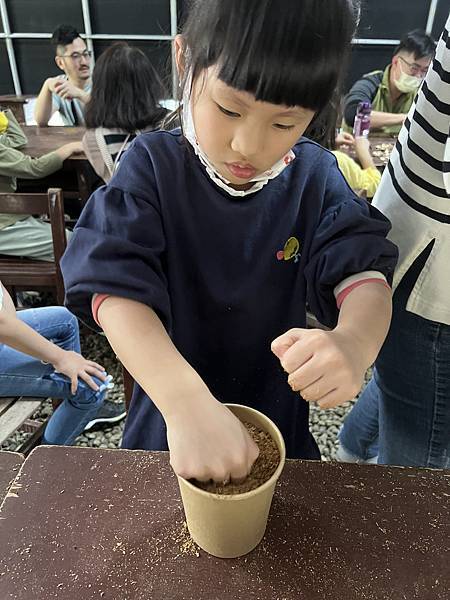 ▉桃園▉ 添丁養生黑木耳採菇去