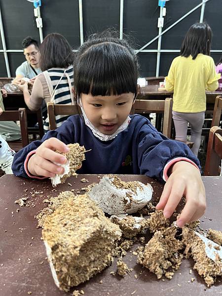 ▉桃園▉ 添丁養生黑木耳採菇去