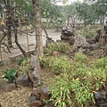 DSC02012.JPG