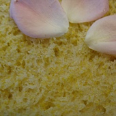 Cornmeal Bread