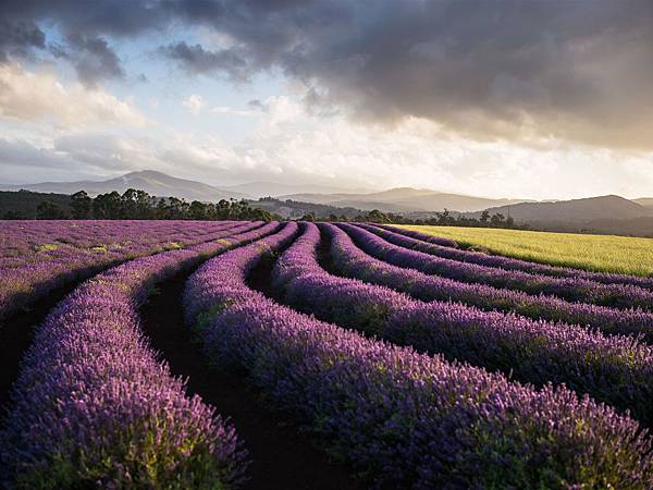 ATDW_Extra_Large_Landscape__9113469_OP0706_purple_contours__photo_credit_Ockert_Le_Roux_2014_1.jpg