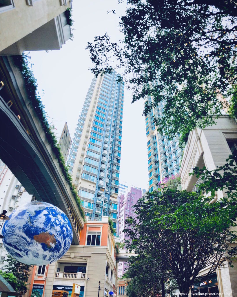 S__10633236.jpg S__10633236.jpg