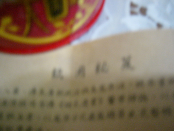 P1070429.JPG
