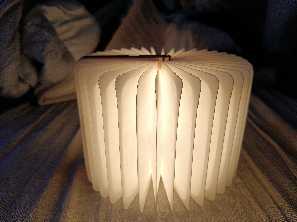 櫻桃李/Cherry Plum【對於失控的恐懼】