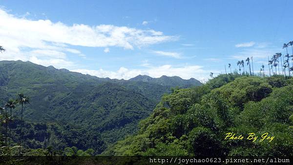 沿路風景