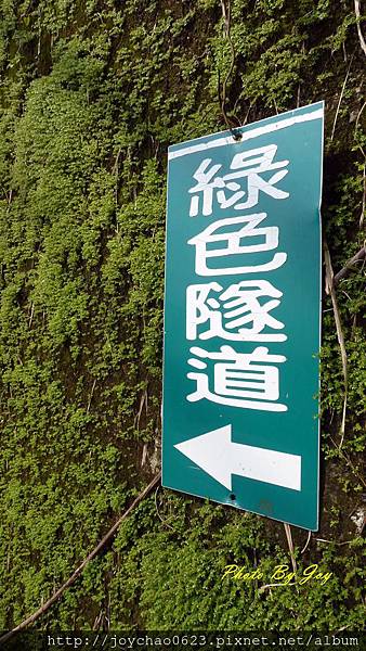 前往綠色隧道