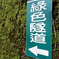 前往綠色隧道