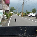 快到前停車，小黑就直接跳車了