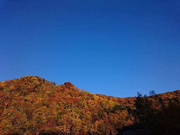 絕美紅葉 北海道秋日旅行 第2天 定山溪 夢幻洞爺湖 Joy阿桑的老去進行式 痞客邦