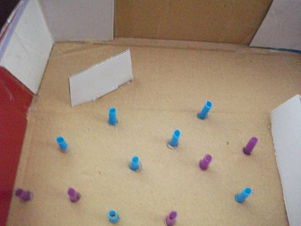 DSCF7171.JPG DSCF7171.JPG