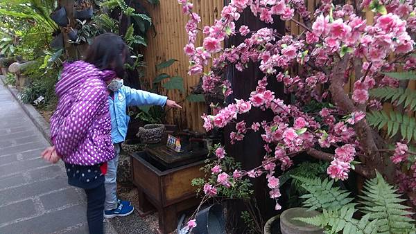 IMAG4248.jpg IMAG4248.jpg