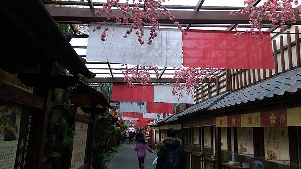 IMAG4271.jpg IMAG4271.jpg