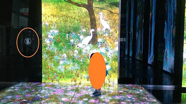 IMAG5679.jpg IMAG5679.jpg