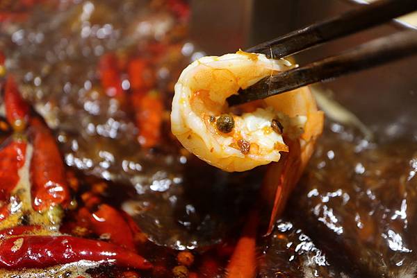 重慶秦媽火鍋 (19).JPG