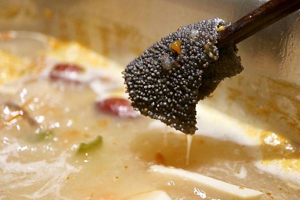 重慶秦媽火鍋 (24).JPG