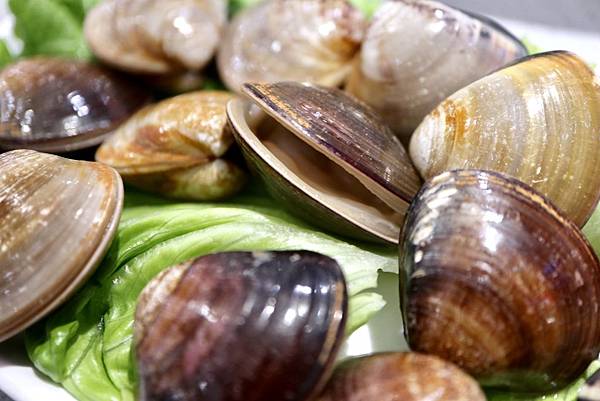 重慶秦媽火鍋 (25).JPG