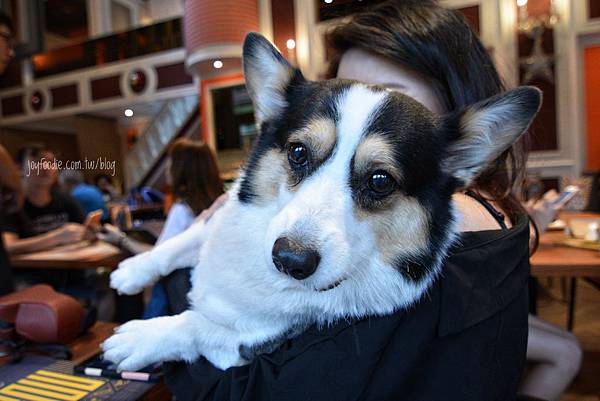 意享美式廚房 (10).jpg