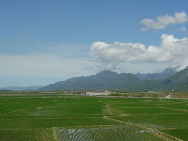 綠油油一片 加上遠山與雲的相伴