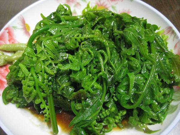 涼拌過貓 涼拌過貓