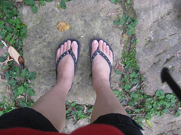 IMG_2295 IMG_2295