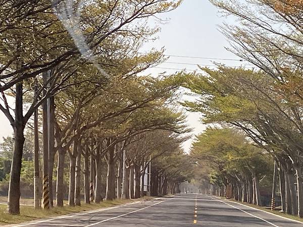 【一日一行寫日記】 -Day 24