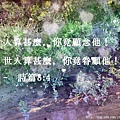 紐西蘭風景