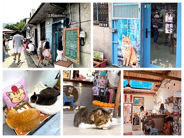 貓村咖啡街_catwalk219愛貓咖啡店.JPG
