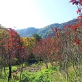 20131127_095508